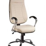 Giratoria presidente extra petunia cod-31980