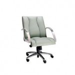 Poltrona diretor giratoria cygnus cod-2830