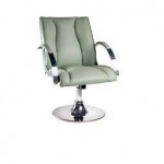 Poltrona diretor giratoria sem rodas cygnus cod-2835