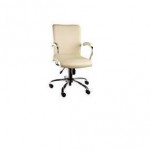 Poltrona diretor giratoria vega cod-5830